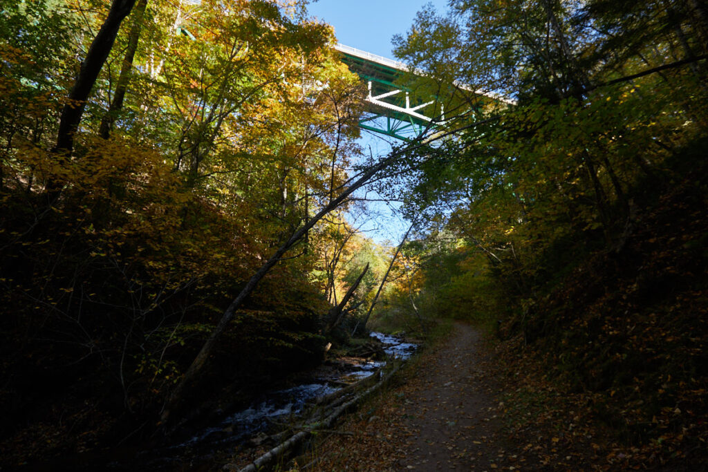 Cut River  Bridge