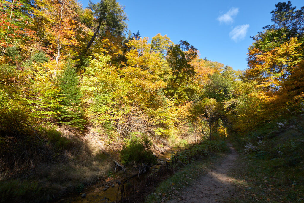 Cut River  Bridge